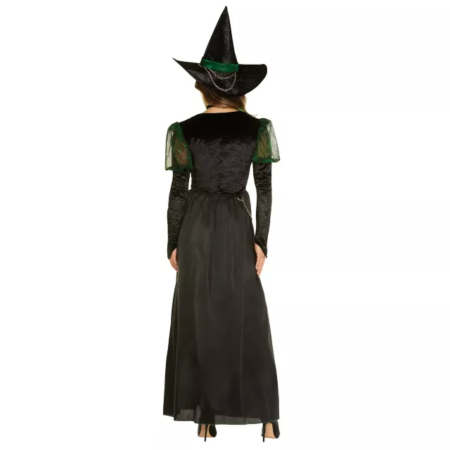 Adult Wicked Witch Costume - The Wizard of Oz