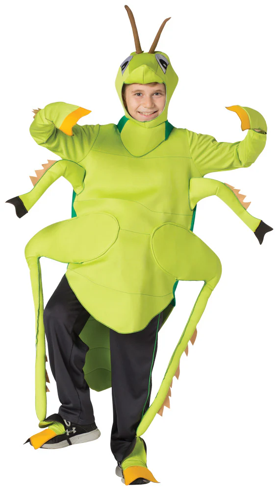Jolly Jumper Grasshopper