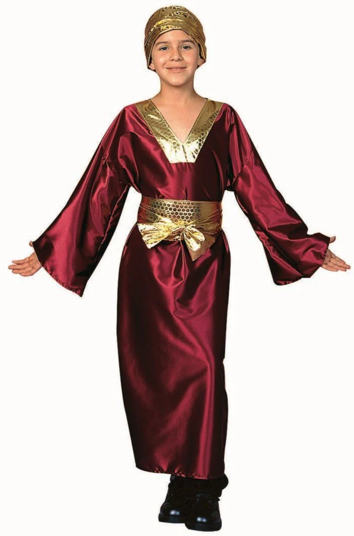 Wiseman Costume Wine (Child)