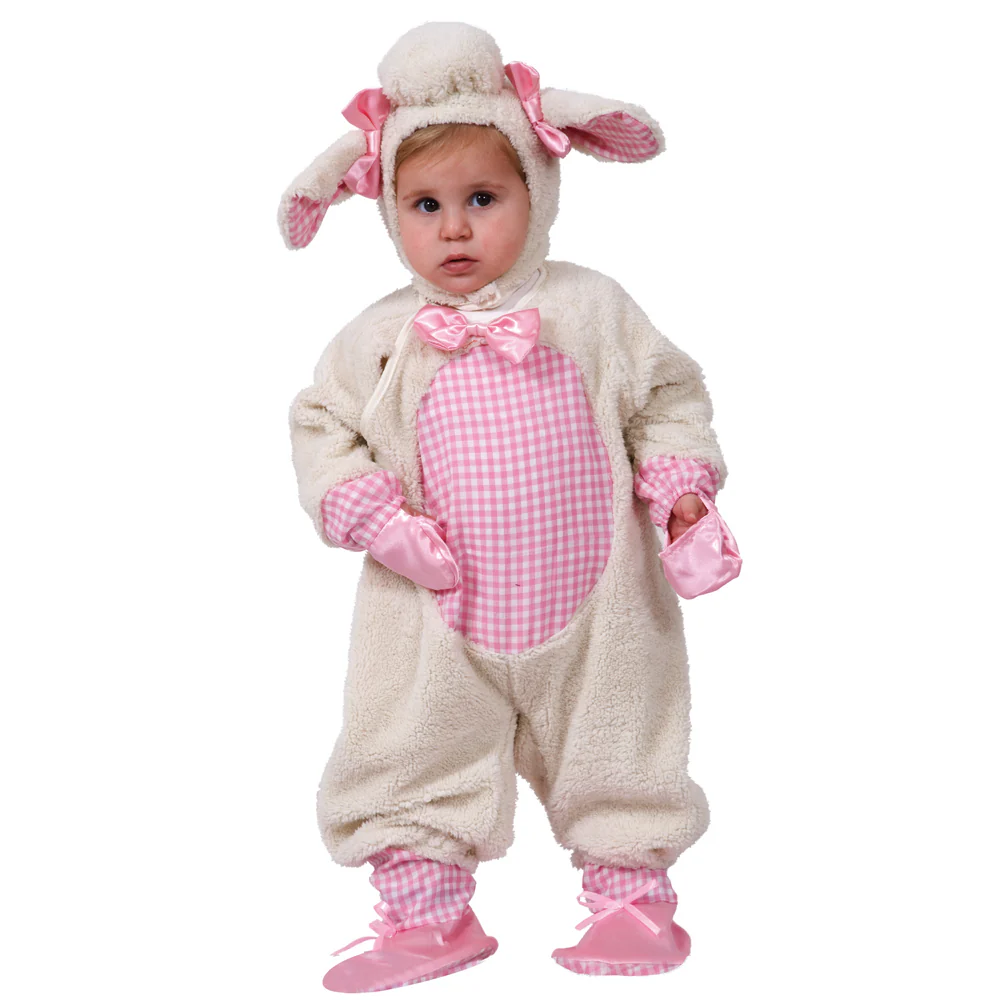 Adorable Baby Lamb