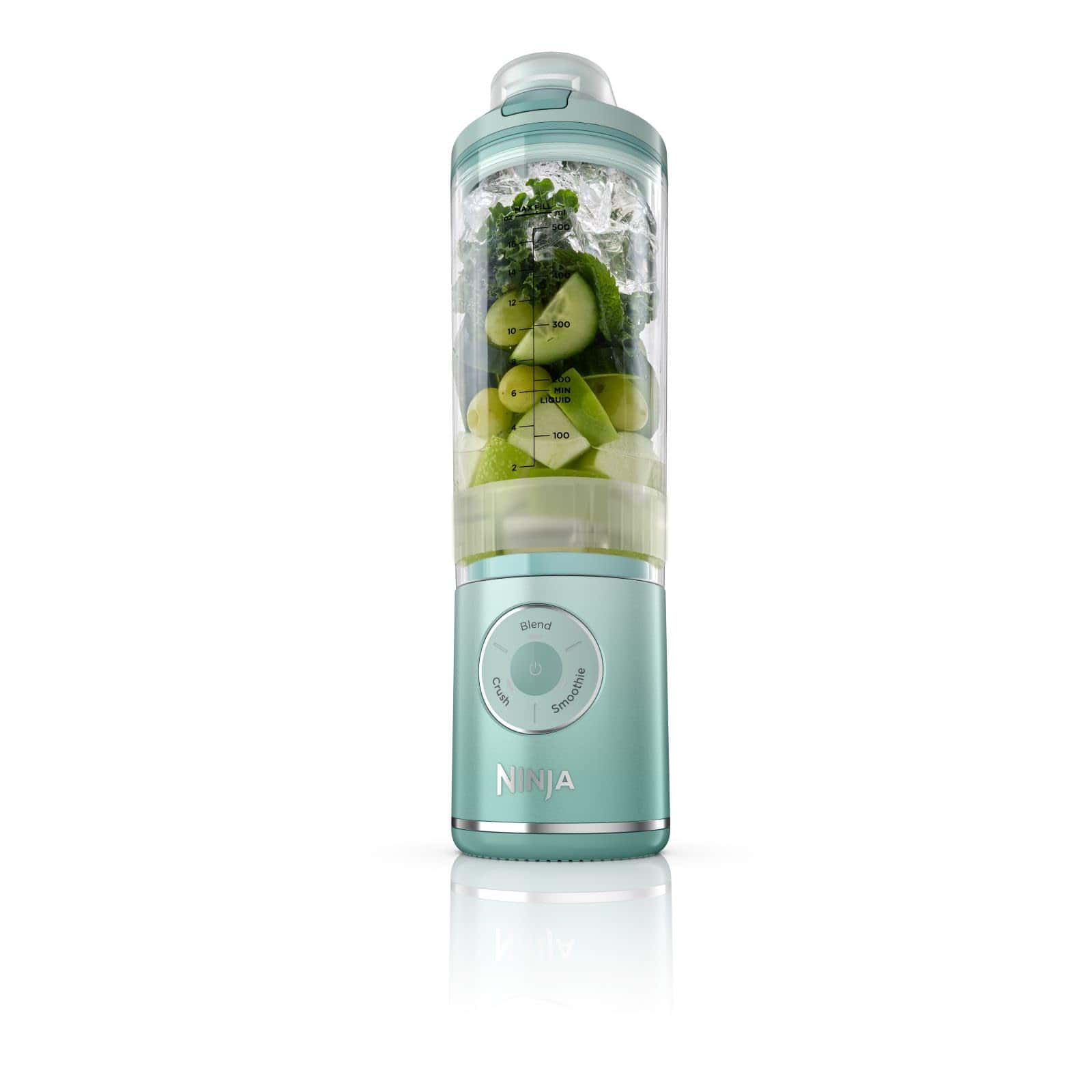 Ninja BC251MT Blast Max, Portable Blender + Twist Go, Personal Blender, Sea Glass