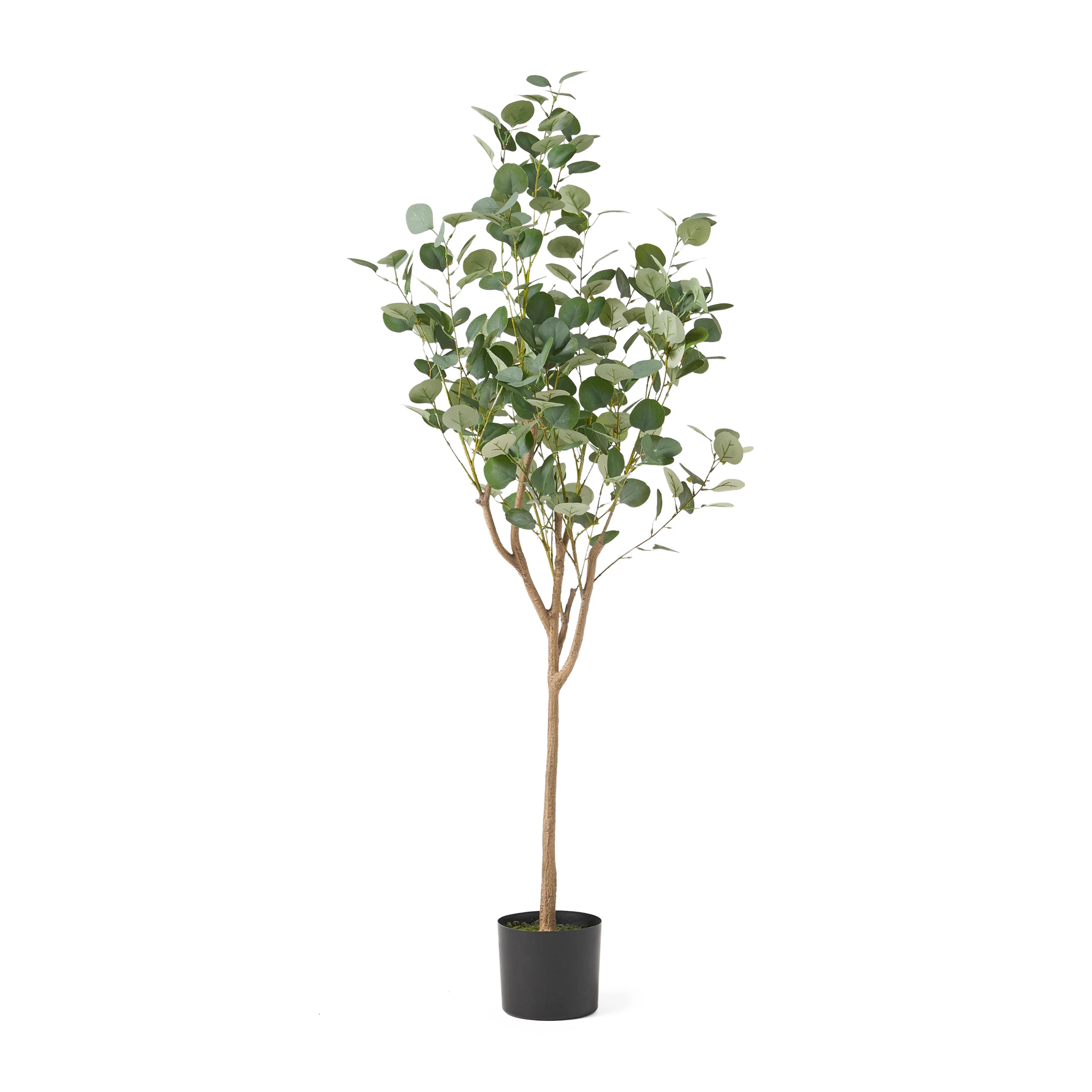 59 Artificial Eucalyptus Tree