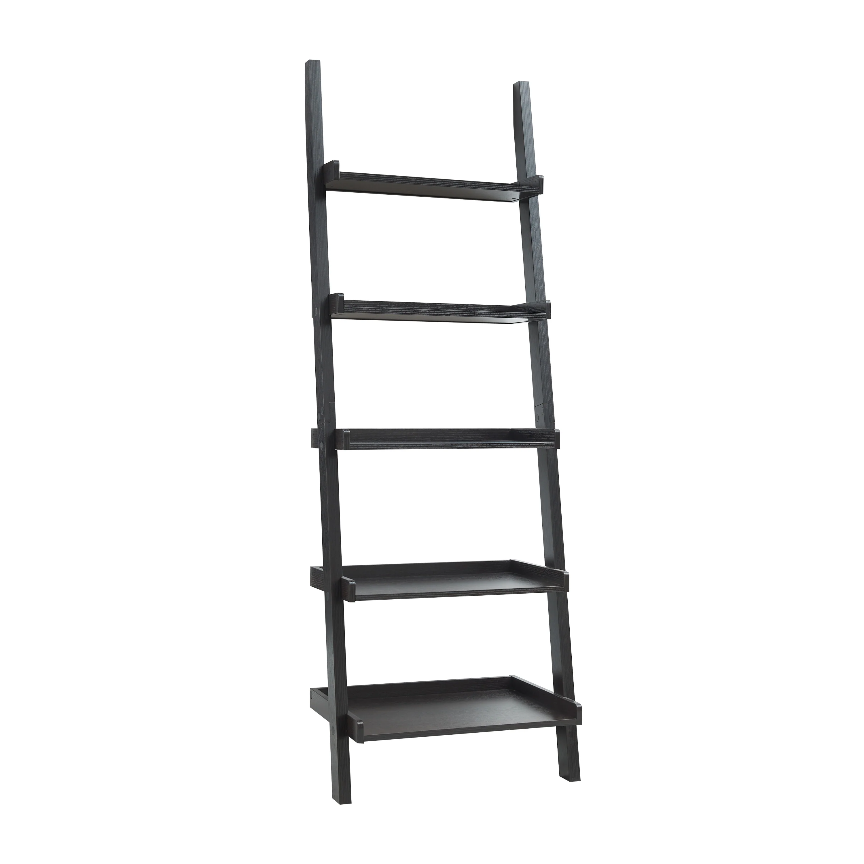 Ladder Bookshelf