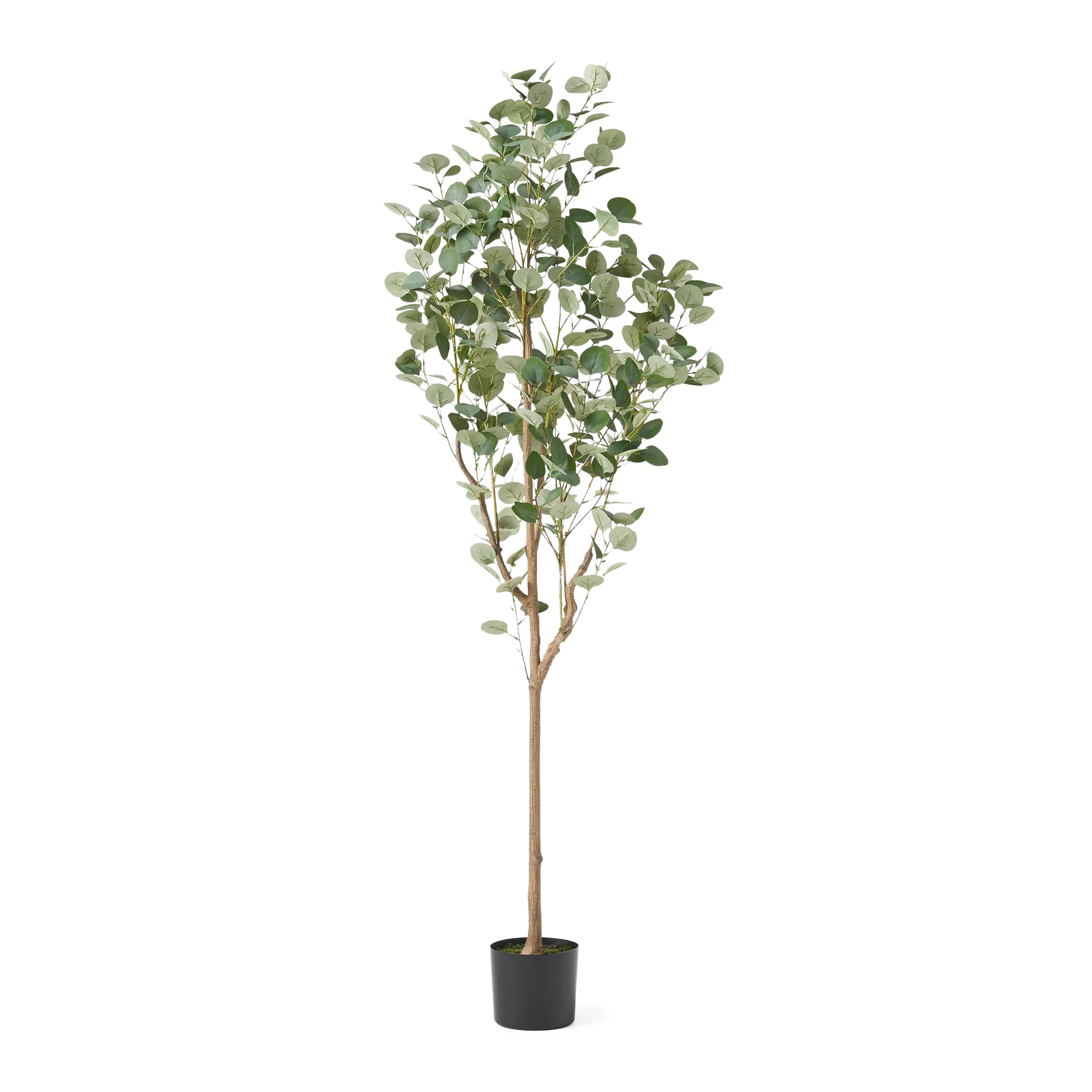 71 Artificial Eucalyptus Tree