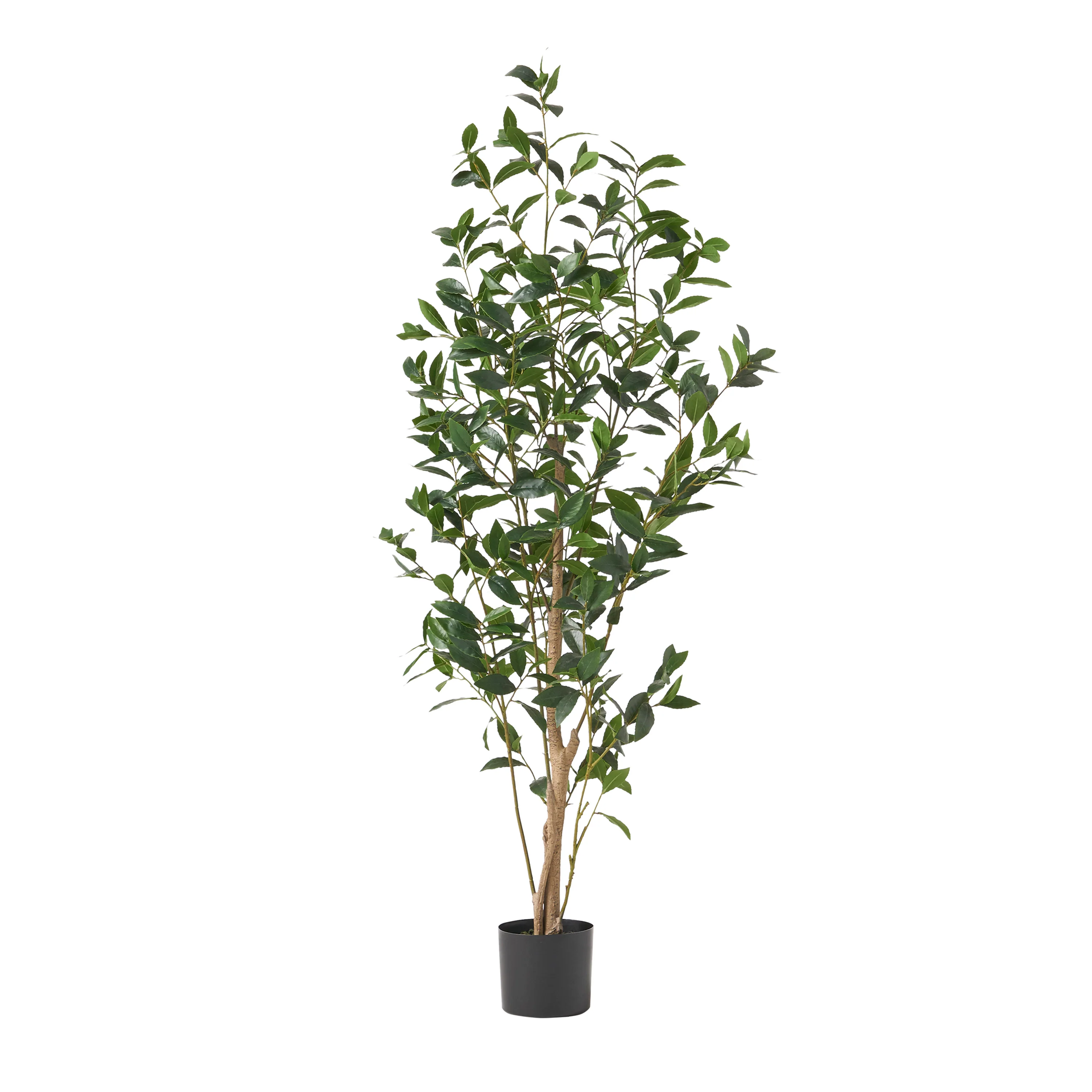 64 Artificial Laurel Tree