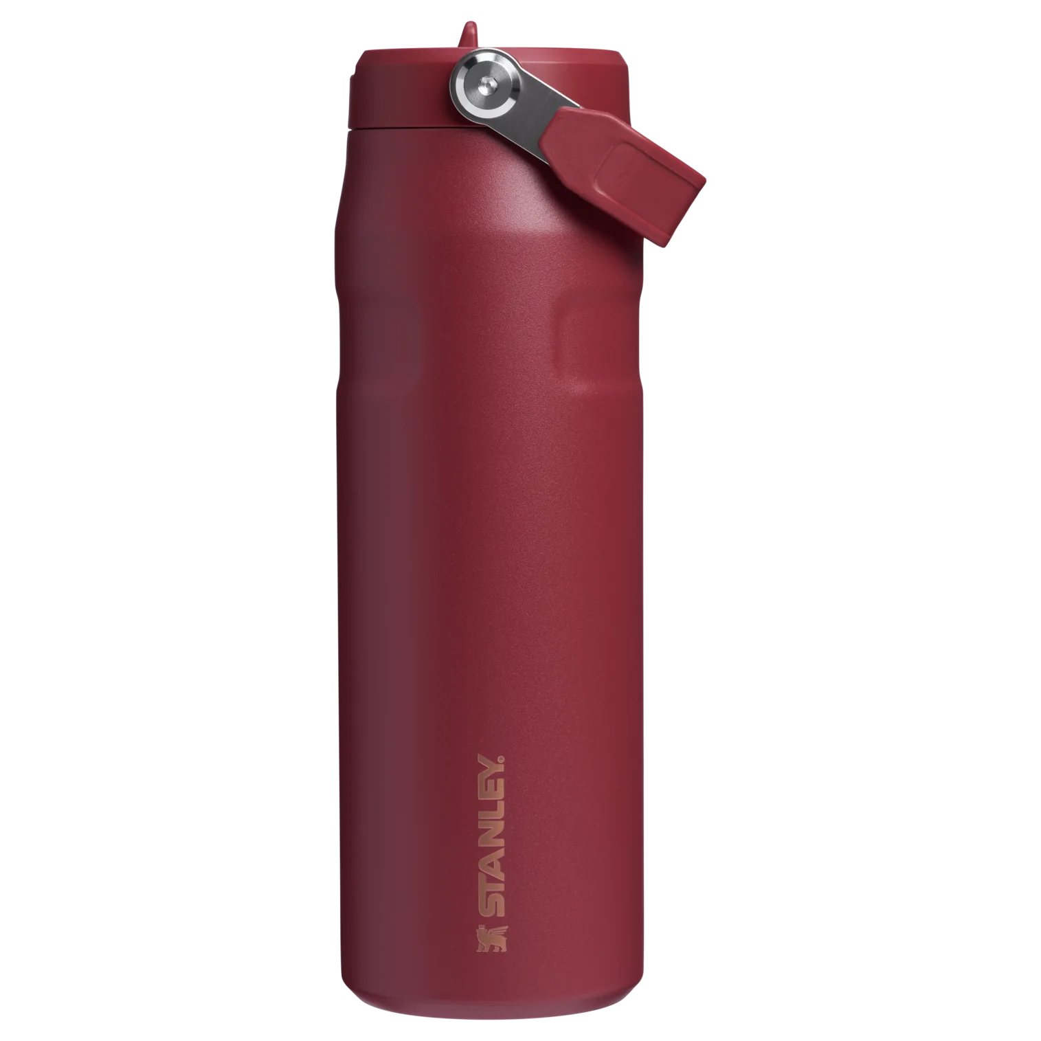 The Holiday IceFlow? Bottle with Flip Straw Lid | 24 OZ