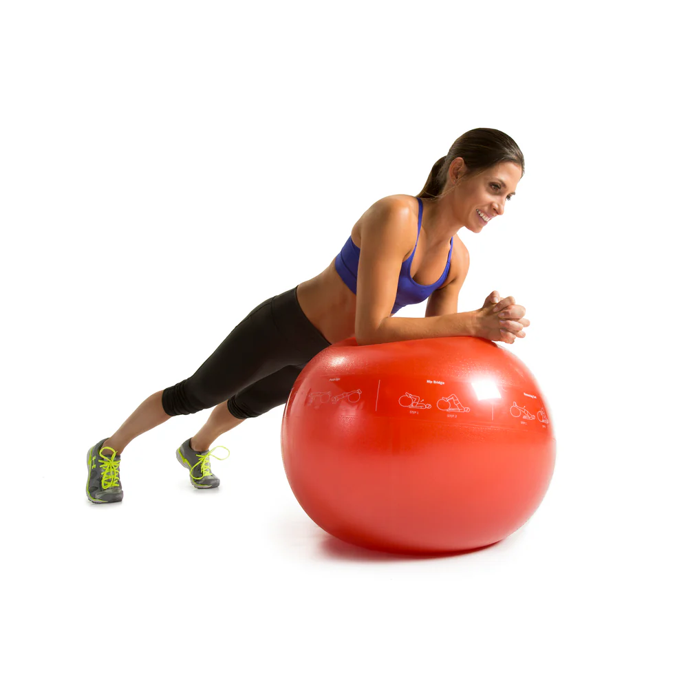 GoFit 65CM Pro Stability Ball