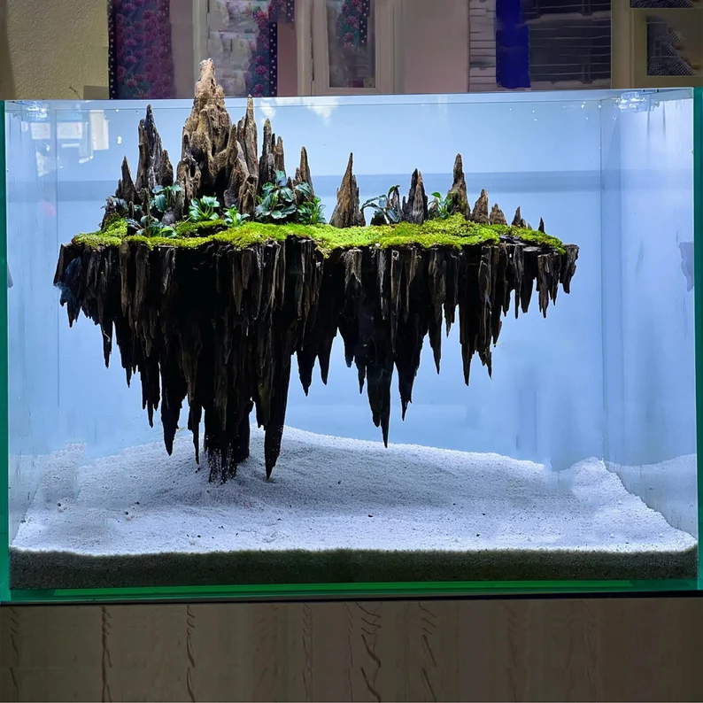 Ancient Stone glued aquascape for nano aquarium