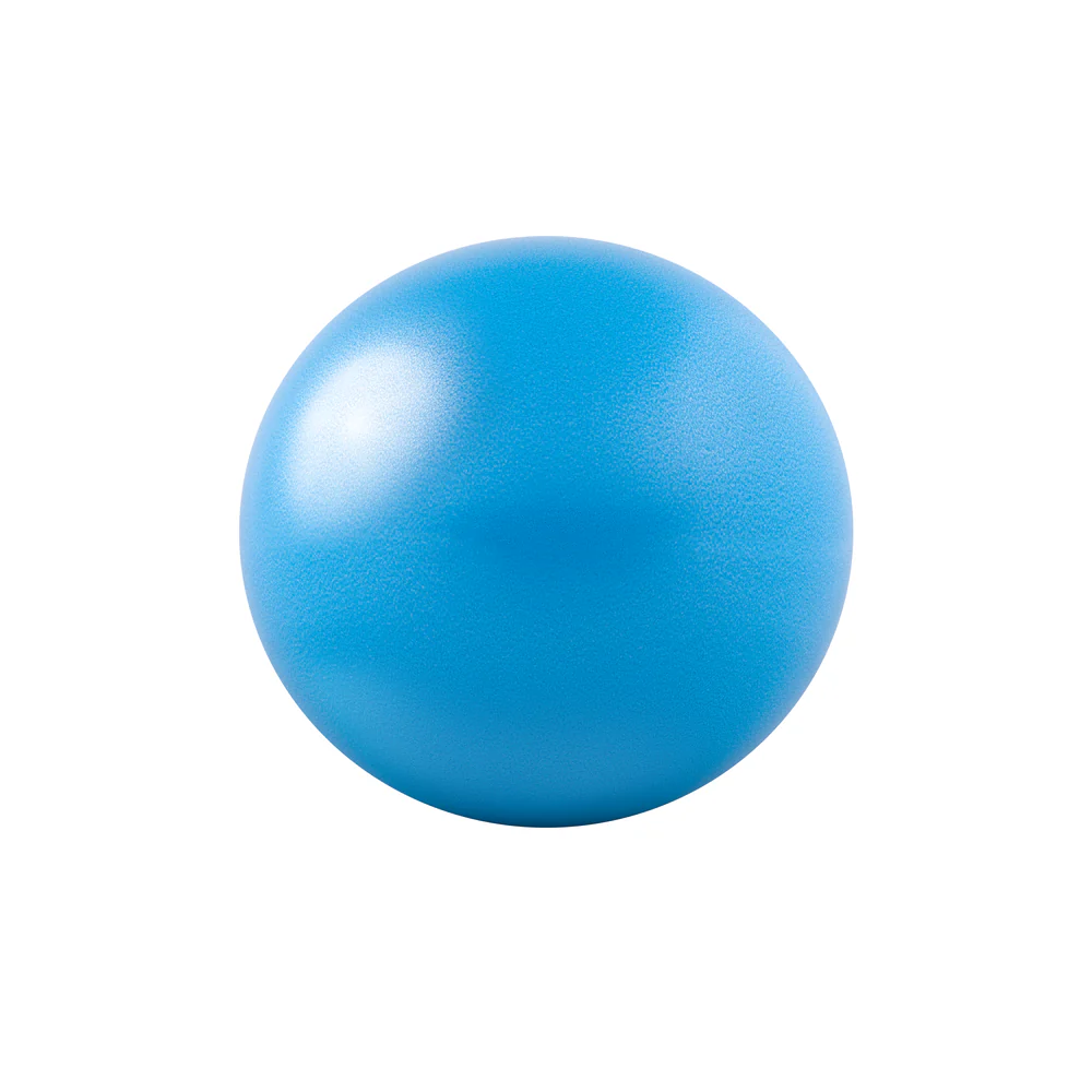 20CM Core Ab Ball