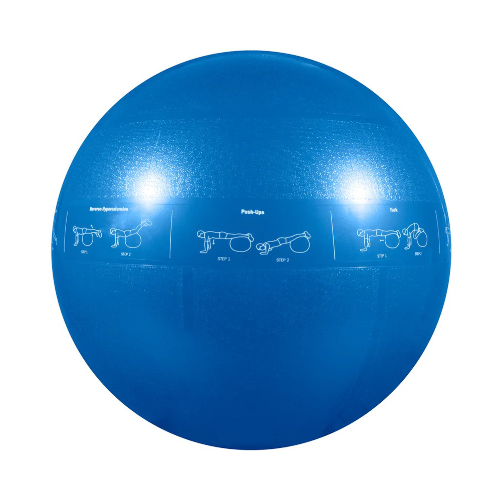GoFit 55CM Pro Stability Ball