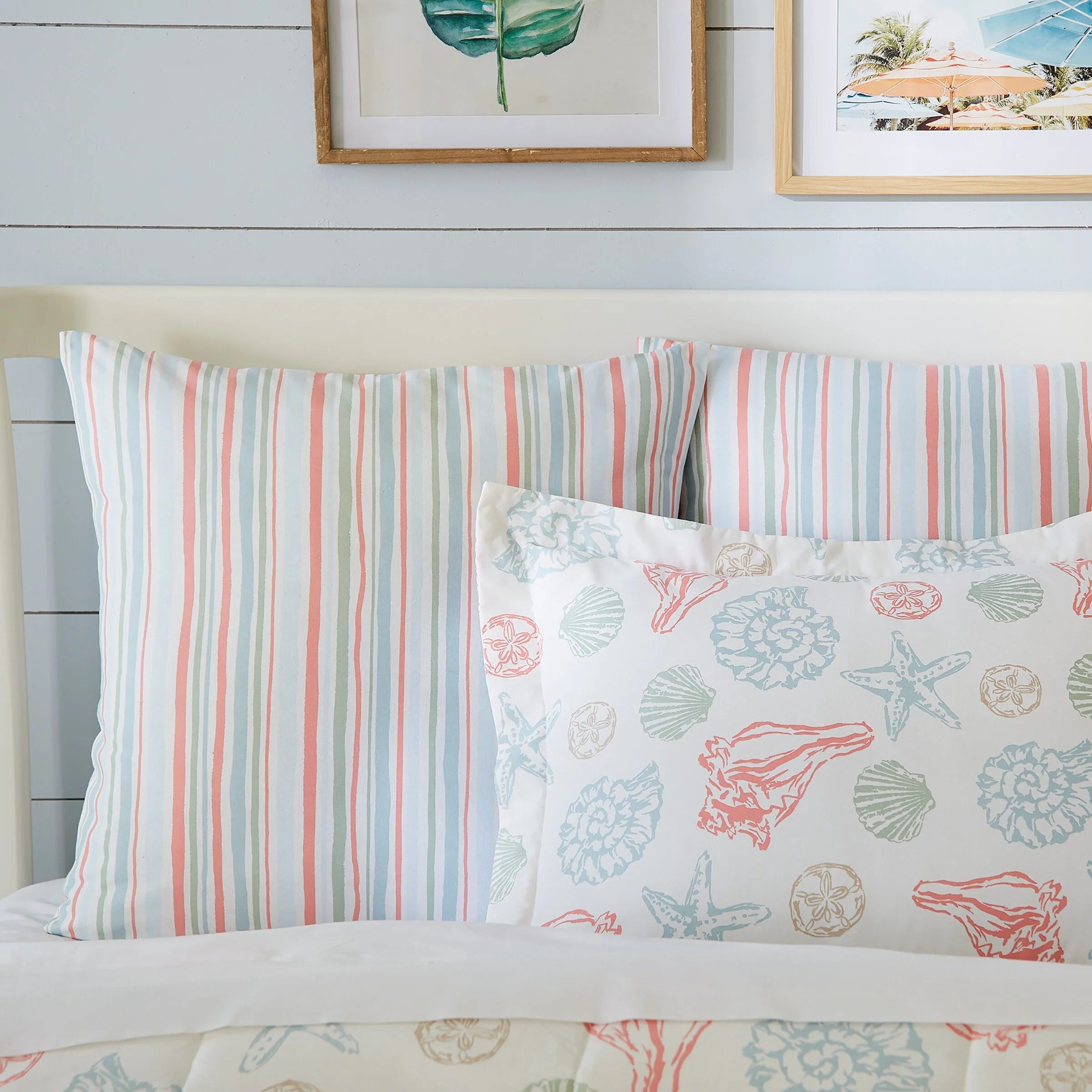 Split P Beachcomber Euro Sham