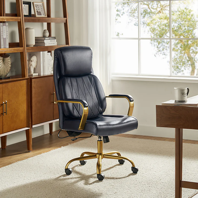 Ludwig Ergonomic Office Chair with Lumbar Support