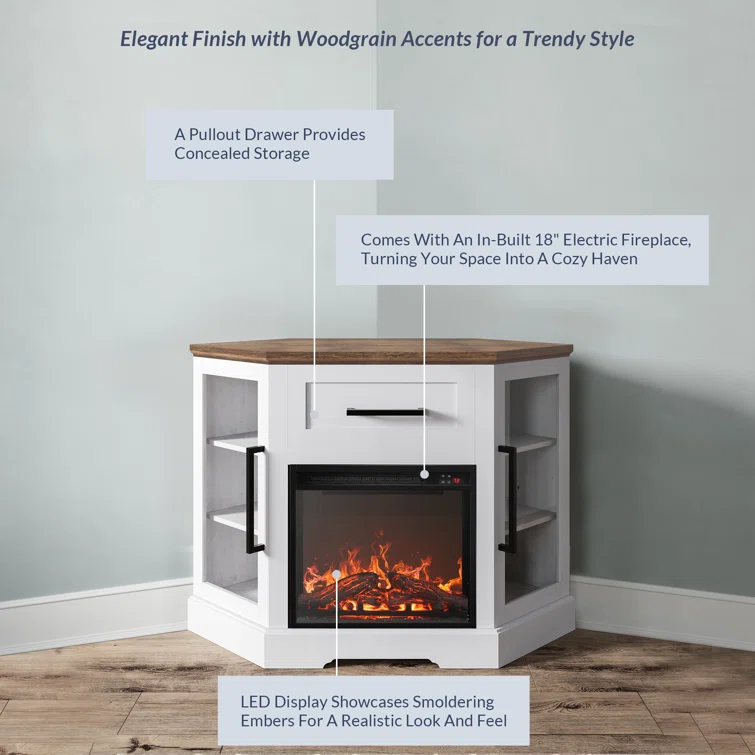 Lakeisha TV Stand for to 43