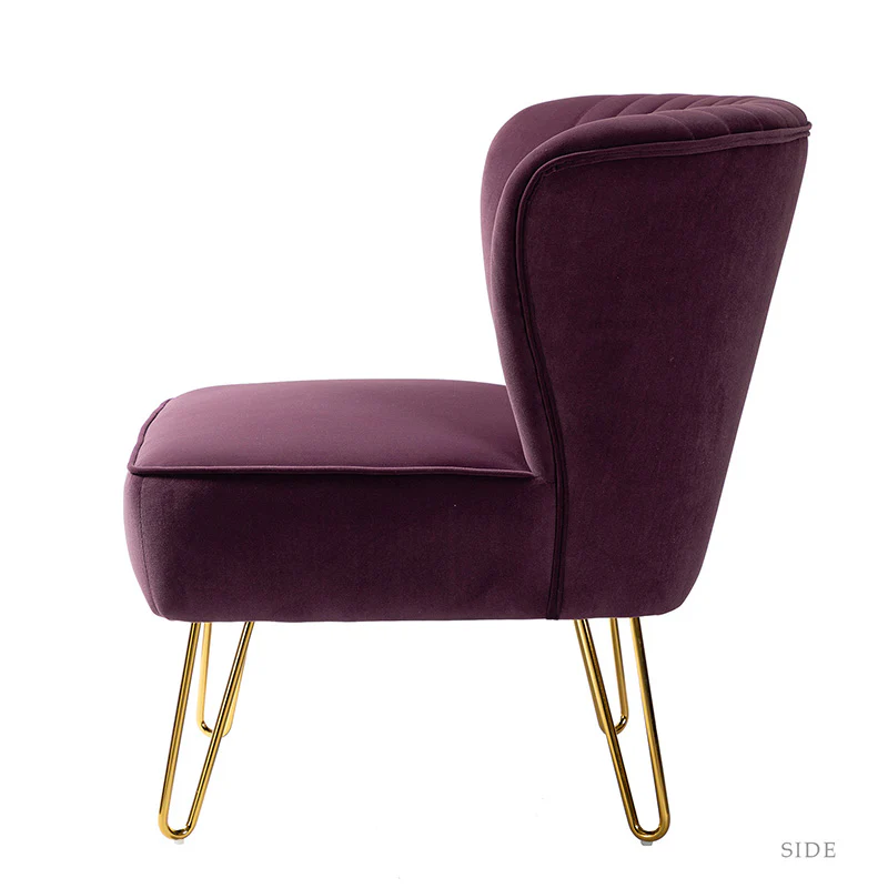 Ainhoa Velvet Tufted Back Side Chair
