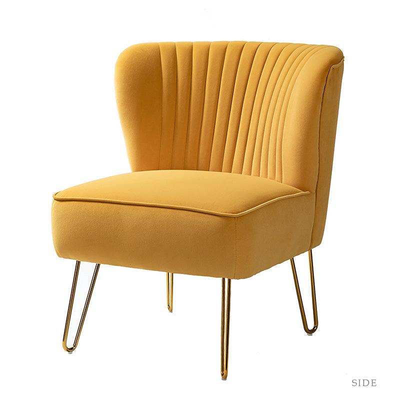 Ainhoa Velvet Tufted Back Side Chair