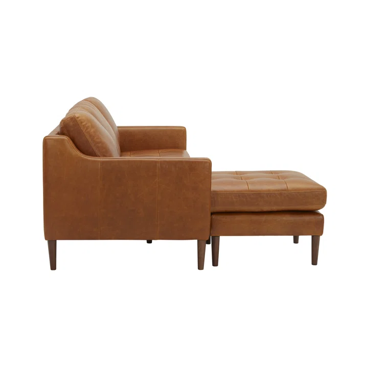Daylen 2 - Piece Leather Sectional