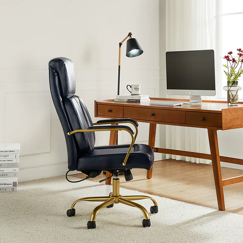 Ludwig Ergonomic Office Chair with Lumbar Support