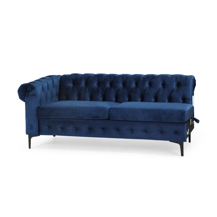 Eginald 2 - Piece Velvet Sectional