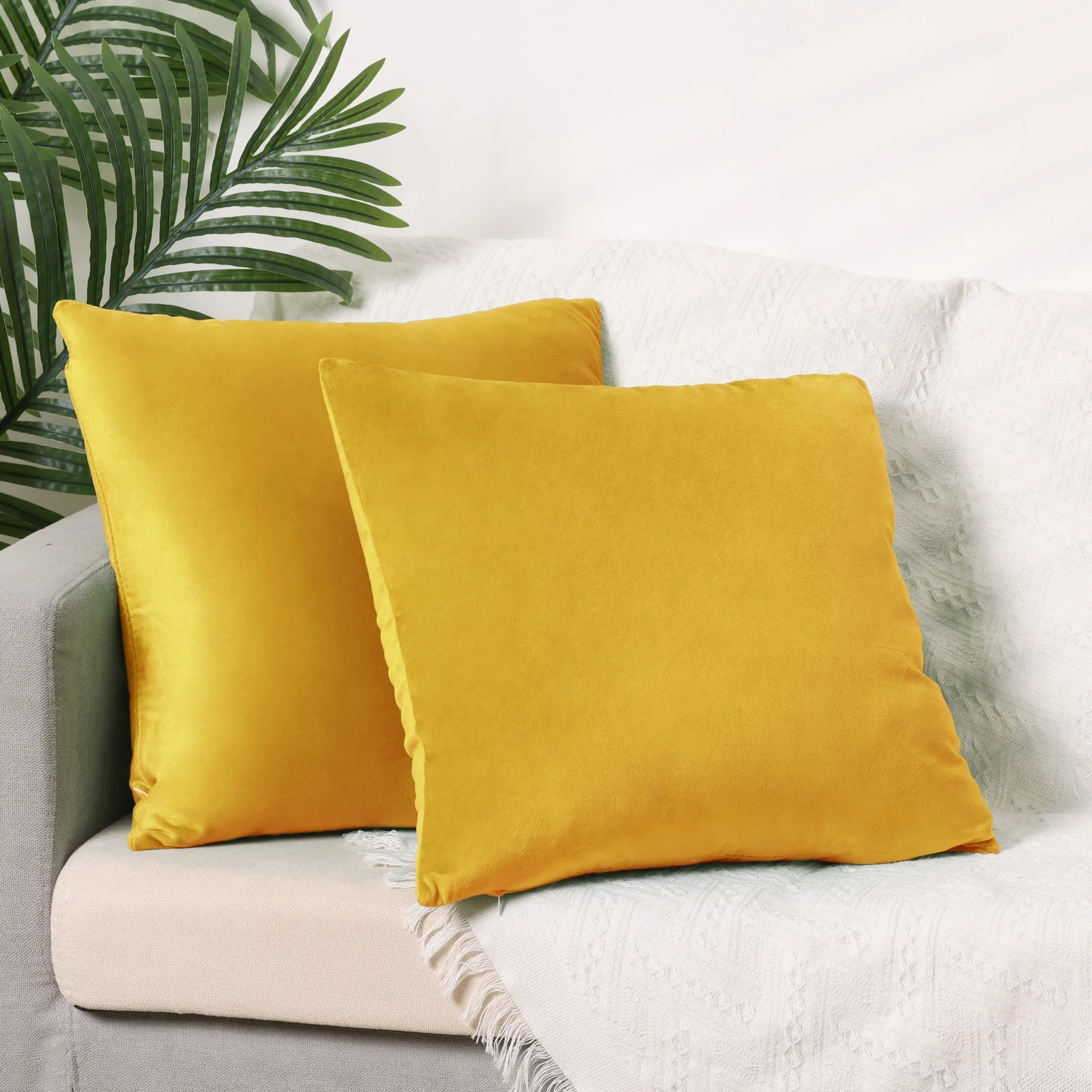 Pack of 2 Velvet Decorative Pillow Covers Modern Solid Pillow Covers for Couch Sofa Home