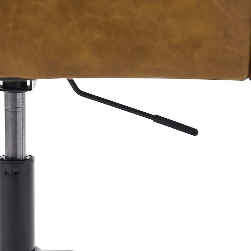 Fabius Mid-Century Modern Height-Adjustable Swivel Office Chair