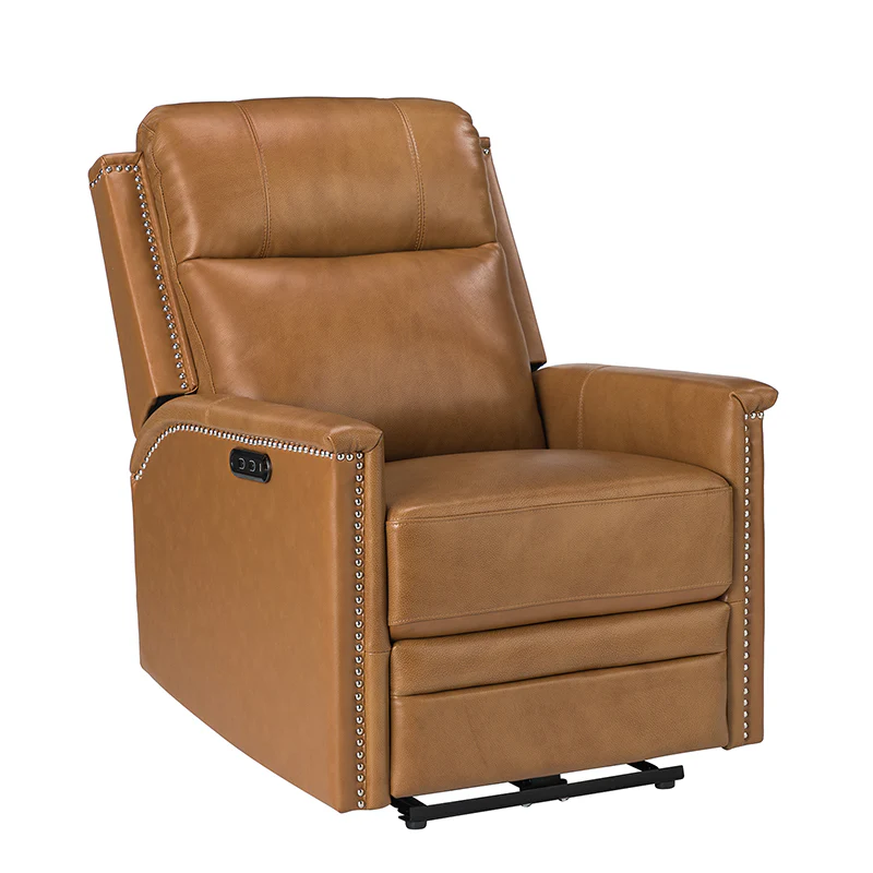 Ottfried Genuine Leather Power Recliner