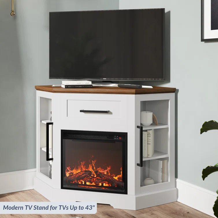 Lakeisha TV Stand for to 43