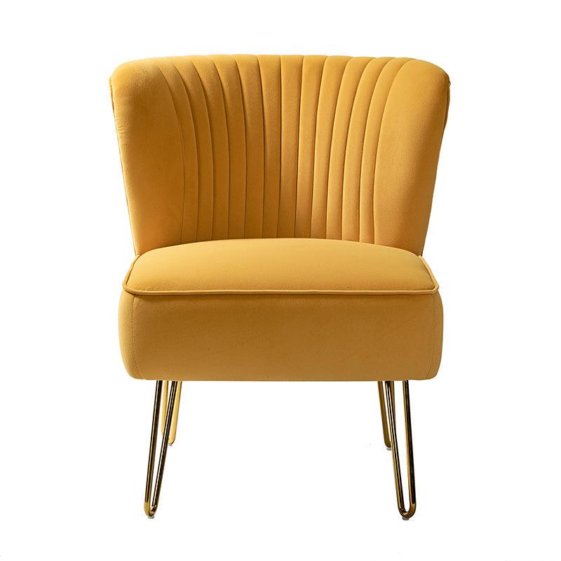 Ainhoa Velvet Tufted Back Side Chair