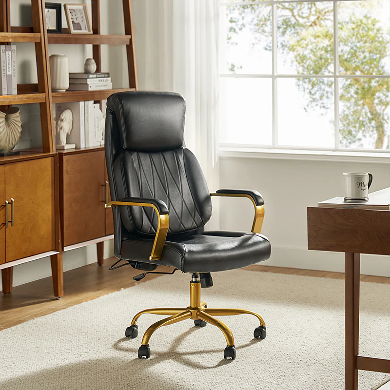 Ludwig Ergonomic Office Chair with Lumbar Support