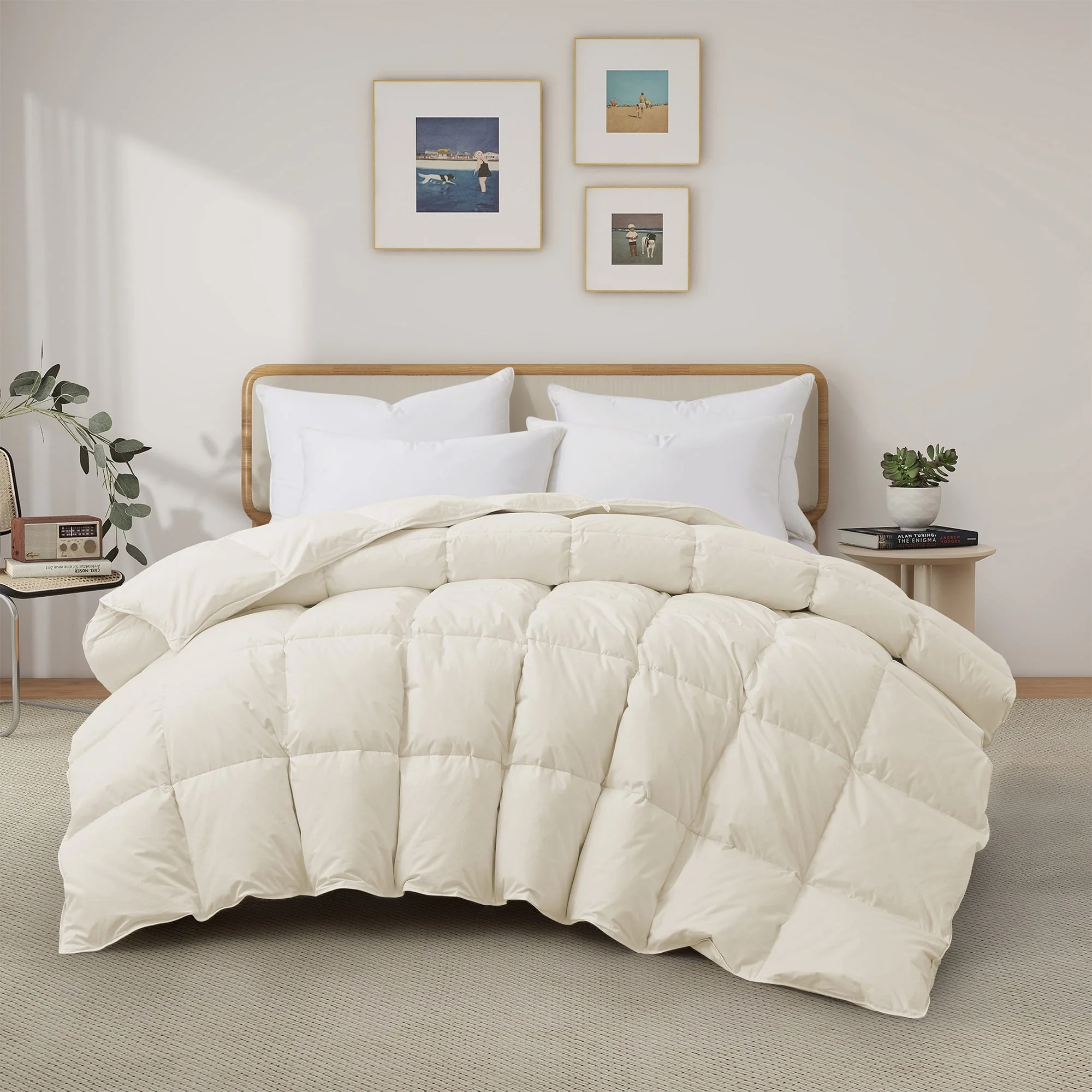 Year-round Light & Heavy Weight 100% Cotton Fluffy Goose Feather Down Comforter