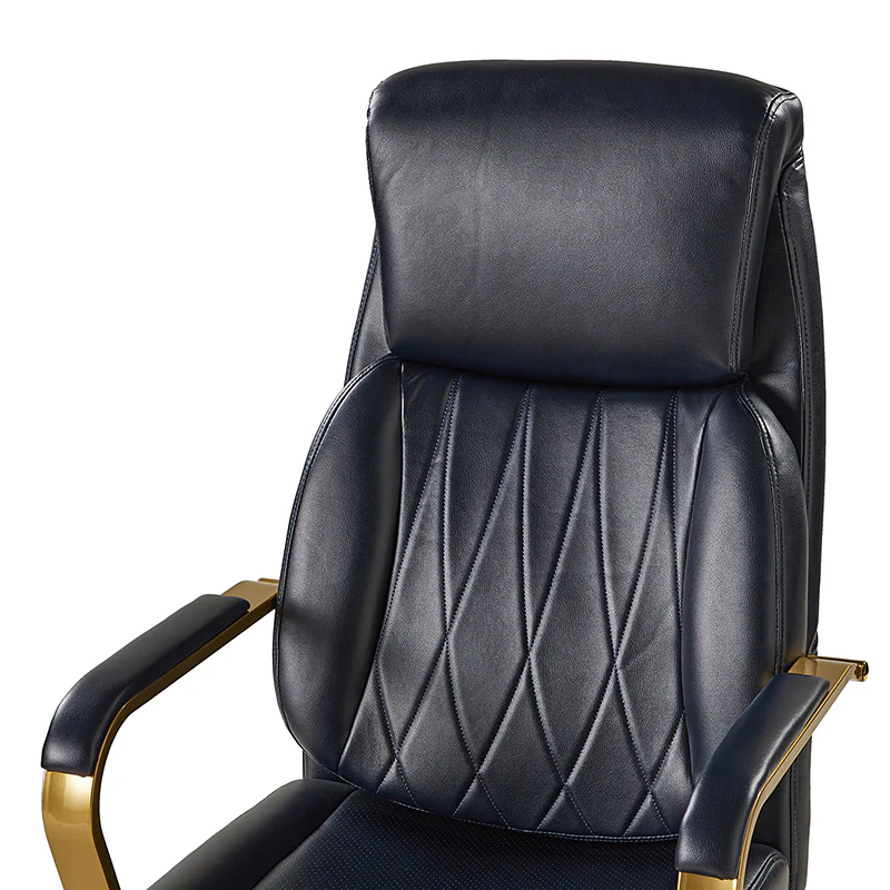 Ludwig Ergonomic Office Chair with Lumbar Support