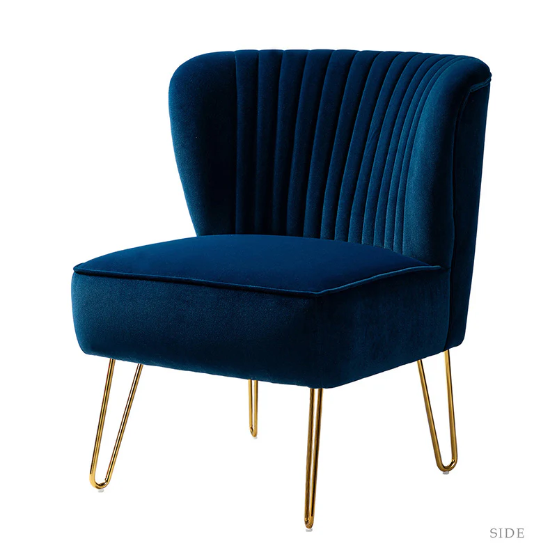 Ainhoa Velvet Tufted Back Side Chair