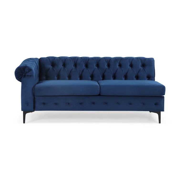Eginald 2 - Piece Velvet Sectional