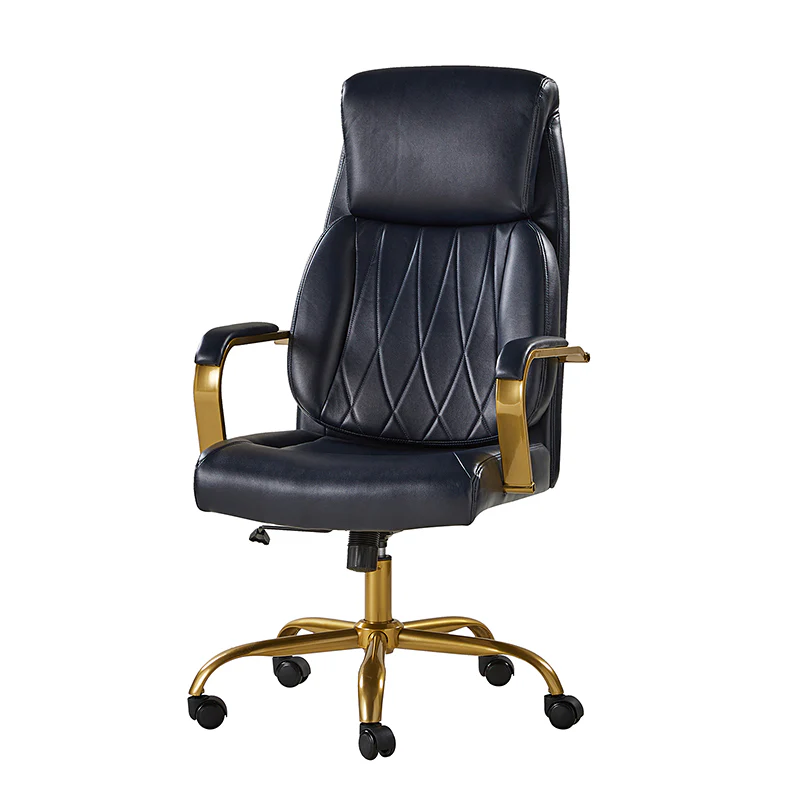 Ludwig Ergonomic Office Chair with Lumbar Support