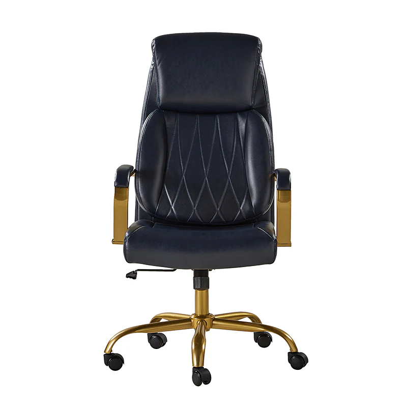 Ludwig Ergonomic Office Chair with Lumbar Support