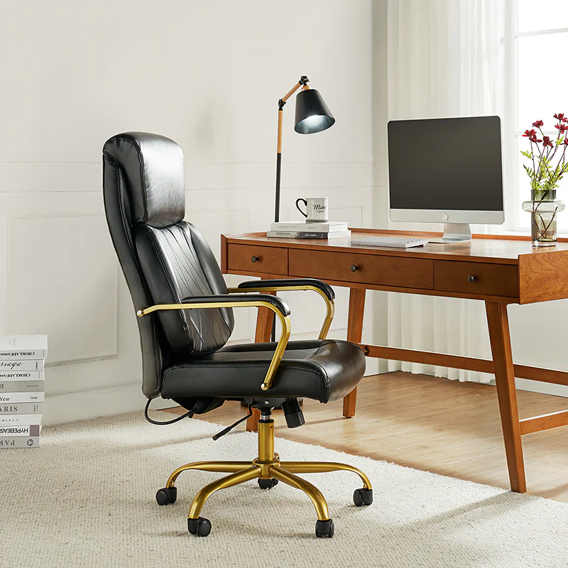 Ludwig Ergonomic Office Chair with Lumbar Support