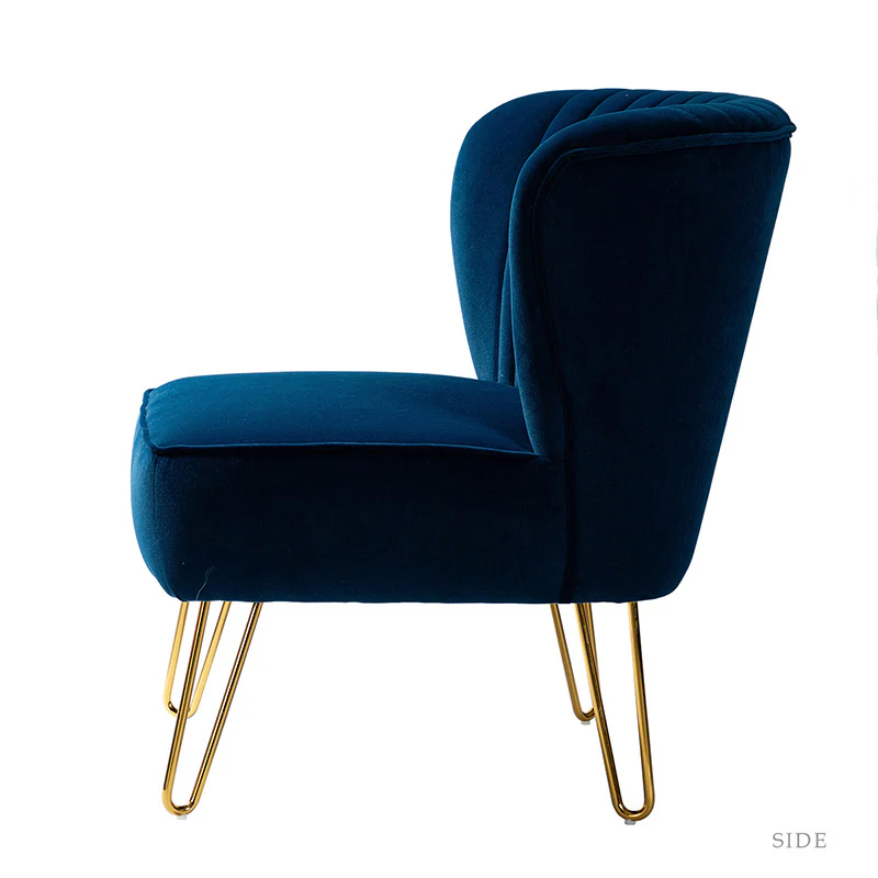 Ainhoa Velvet Tufted Back Side Chair
