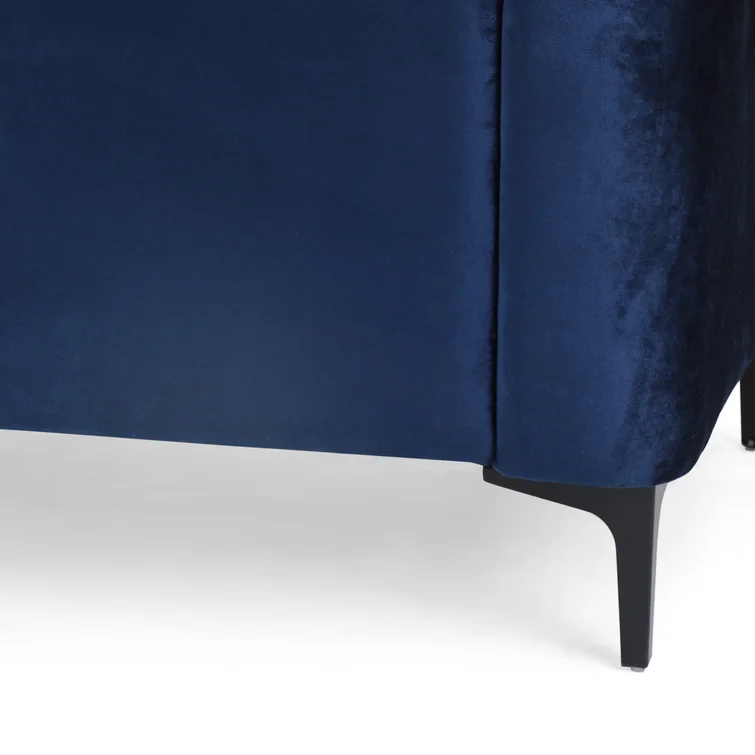 Eginald 2 - Piece Velvet Sectional