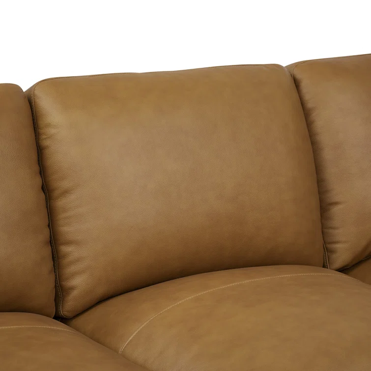 Antanisha 5 - Piece Leather Sectional
