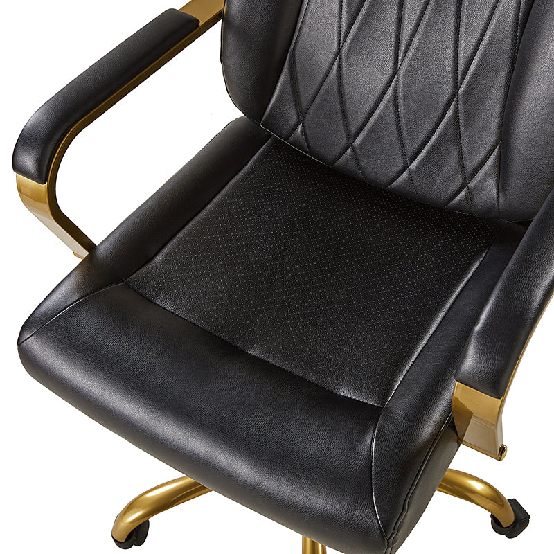 Ludwig Ergonomic Office Chair with Lumbar Support