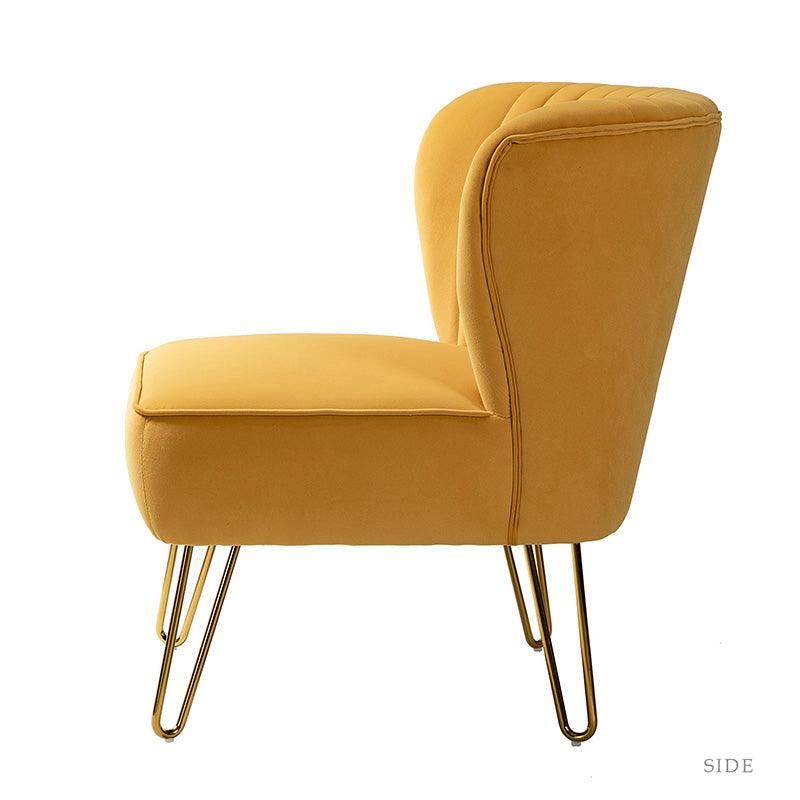 Ainhoa Velvet Tufted Back Side Chair