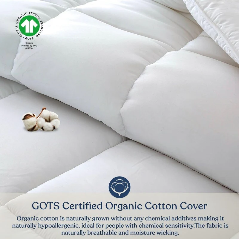 Delara Duvet Insert Comforter 100% Organic Cotton Shell and Filled