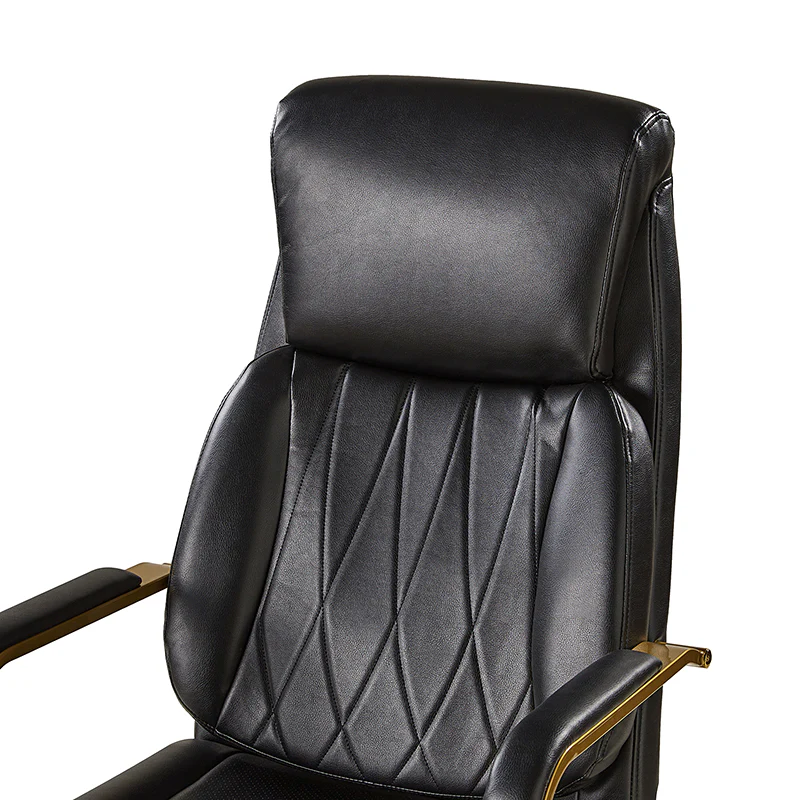 Ludwig Ergonomic Office Chair with Lumbar Support