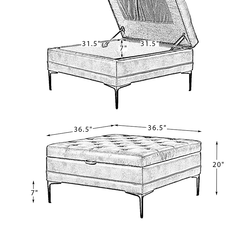 Hartmut Lift Top Shelved Storage Cocktail Ottoman